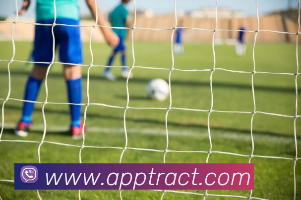 App Interface Preview